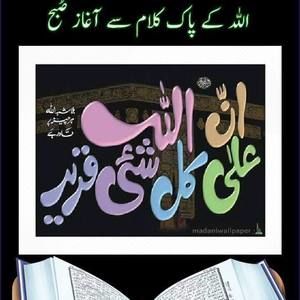 Meet your Posher, Alia